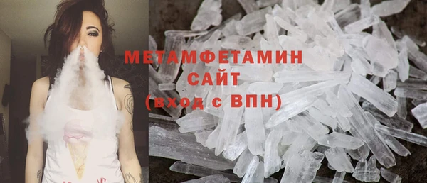 гидра Каменка