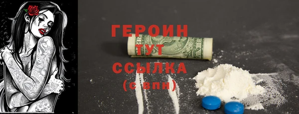 гидра Каменка