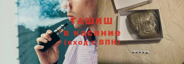 гидра Каменка