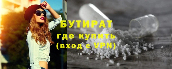 гидра Каменка