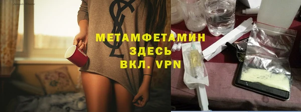 гидра Каменка