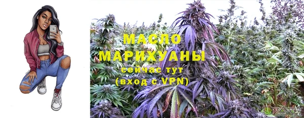гидра Каменка